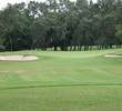 No. 8 at the Copperhead course at Innisbrook Resort and Golf Club in Palm Harbor is a 235-yard par 3 from the back tees.