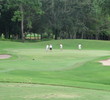 No. 15 at the Copperhead course at Innisbrook Resort and Golf Club in Palm Harbor is a 212-yard par-3 from the back tees.