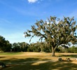 Mossy Oaks litter both the Rolling Oaks and Pine Barrens Courses at World Woods Golf Club in Brooksville, Fla.