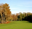 After a recent remodel, Innisbrook's Island golf course can play 7,310 yards from the championship tees. 
