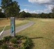 Birds tend to flock to Pebble Creek Golf Club for its mix of trees and small ponds. 