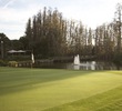 Beside the 18th hole of the Saddlebrook Course is a pond with a wooden bridge walking path for guests to explore. 