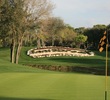 The Copperhead Course at Innisbrook Resort is a PGA Tour staple on the Florida Swing. 