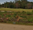 This hazard gobbles mis-hits to the fourth green at the Preserve Golf Club at Tara in Bradenton, Fla.