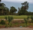 The scrub and sand protects the ninth green at the Preserve Golf Club at Tara in Bradenton.