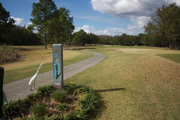 Pebble Creek Golf Club in Tampa - birds