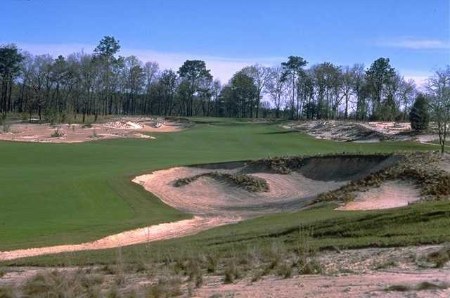 World Woods Golf Club Pine Barrens In Brooksville