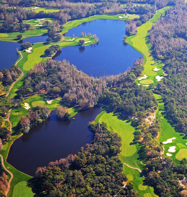 Island At Innisbrook Resort And Golf Club Island At Innisbrook Resort And Golf Club