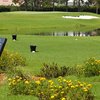 A view of the 6th green at Cheval Country Club