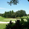 A view of green at Dunedin Country Club