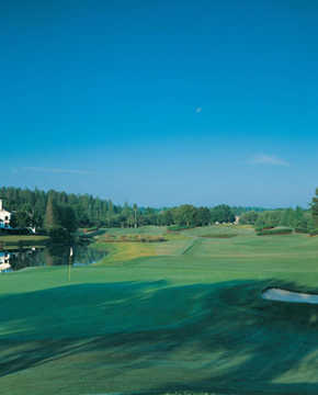 TPC of Tampa Bay - Hole #15