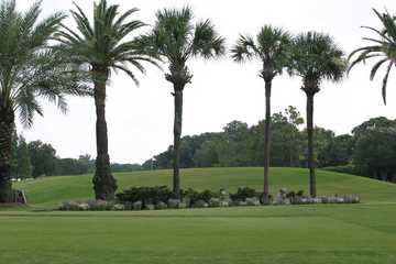 Palma Ceia GCC