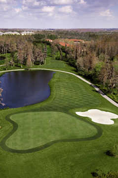 Cypress Nine: #5