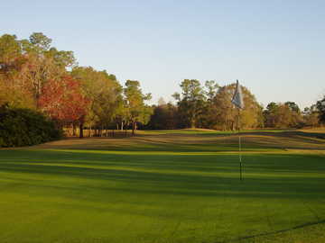 A view of green at The Eagles Golf Club - Forest Course