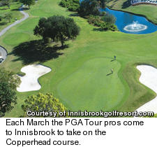 Copperhead course at Innisbrook Resort and Golf Club