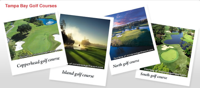 Tampa Bay Golf Courses